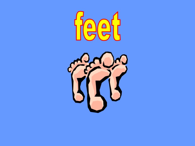 feet